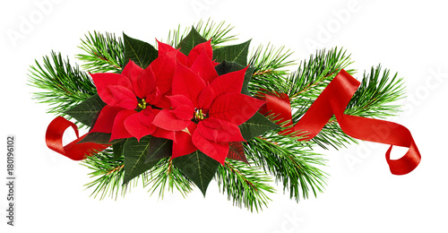 Christmas arrangement with ...