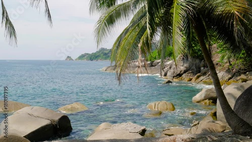 Palm on the rocky beach. A view to the palm growing on a rocky tropical coast and seascape in a sunny day.