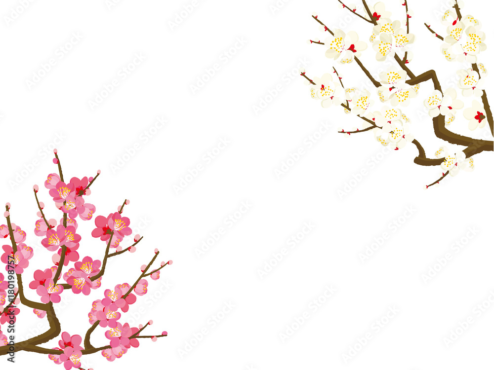 梅 背景イラスト Stock Vector Adobe Stock 梅 背景イラスト Stock Vector Adobe Stock