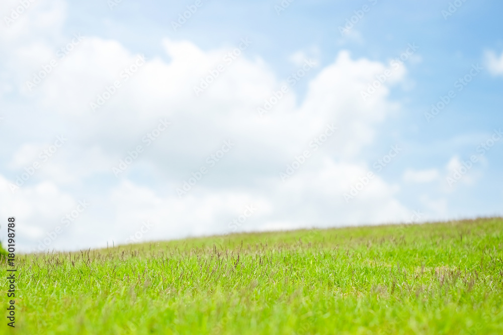 beautiful layer of green grass and blue sky cloud background. beautiful layer of green grass and blue sky cloud background.