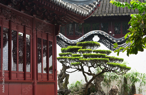 Photography Traditional oriental park with wooden pavilions and decorative bonsai
