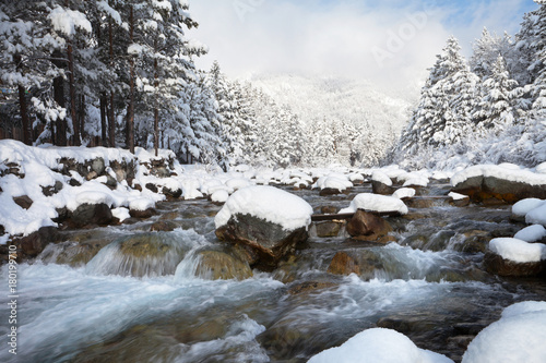 Swift mountain river with stony rapids and snowy forest in the mountains on a sunny winter day