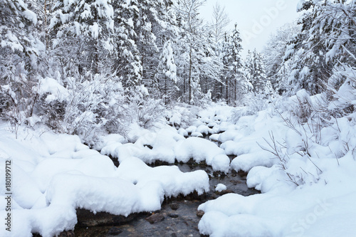 Winter landscape with a forest stream and snowy trees after a heavy snowfall