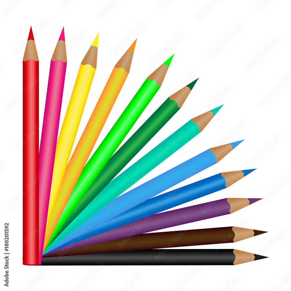 Fototapeta premium Set of 12 colored pencils isolated on a white background. Vector illustration
