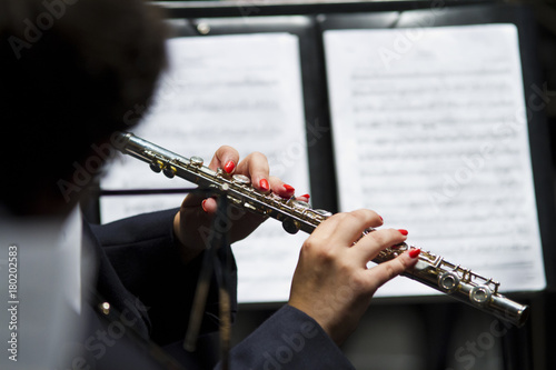 Músico flauta travera photo