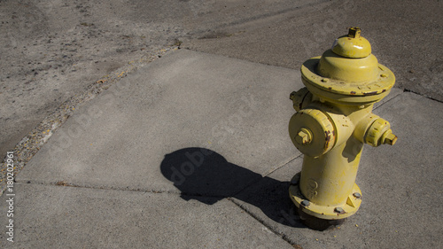 Stylized Soft Focus View of Yellow Fire Hydrant on Sidewalk Corner, Daytime (16 x 20 format)