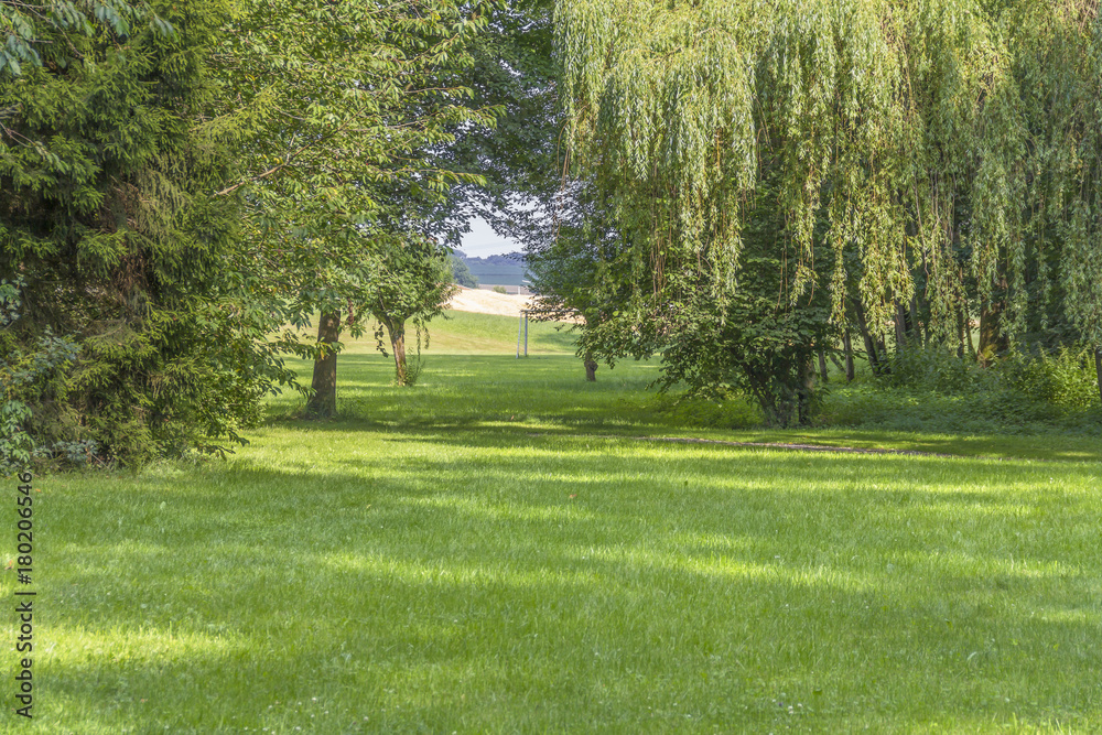 Obraz premium idyllic park scenery