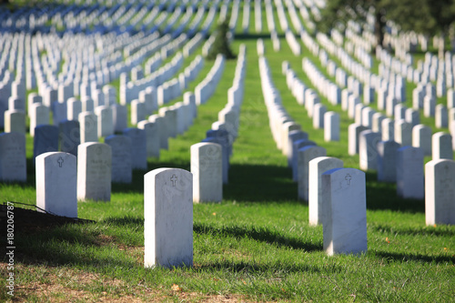 White graveyard and distributed tombstone