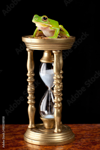 Frog on hour-glass