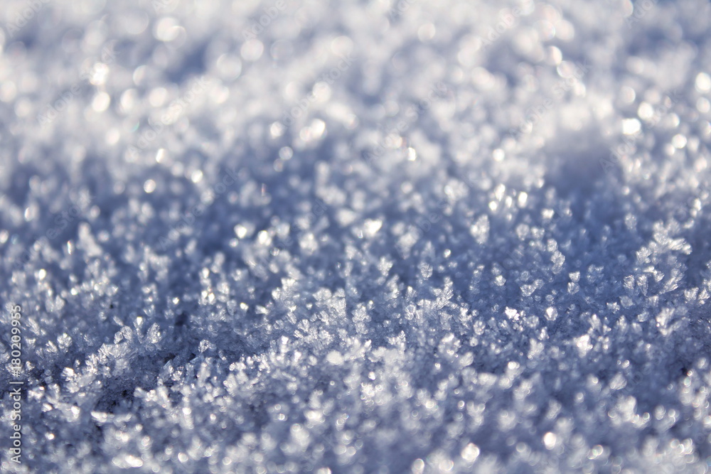 Obraz premium harvest snow 2018