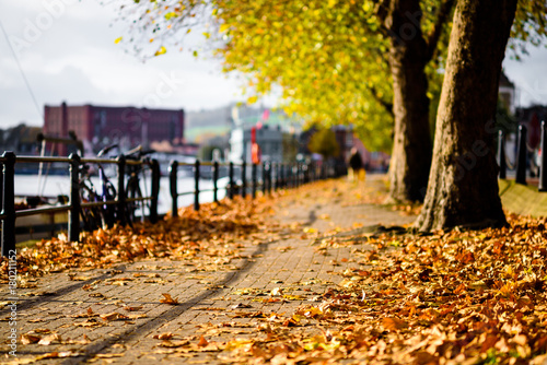 Bristol harbourside autumn