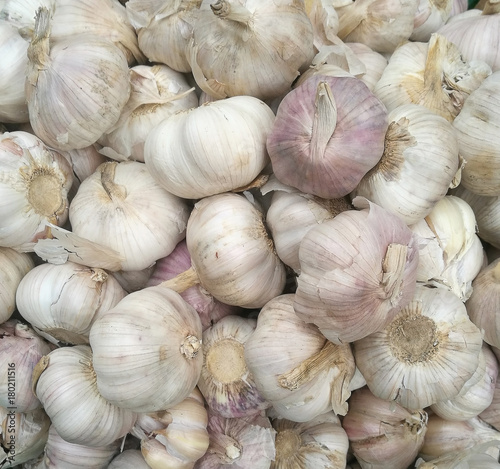 Close-up garlic bulbs