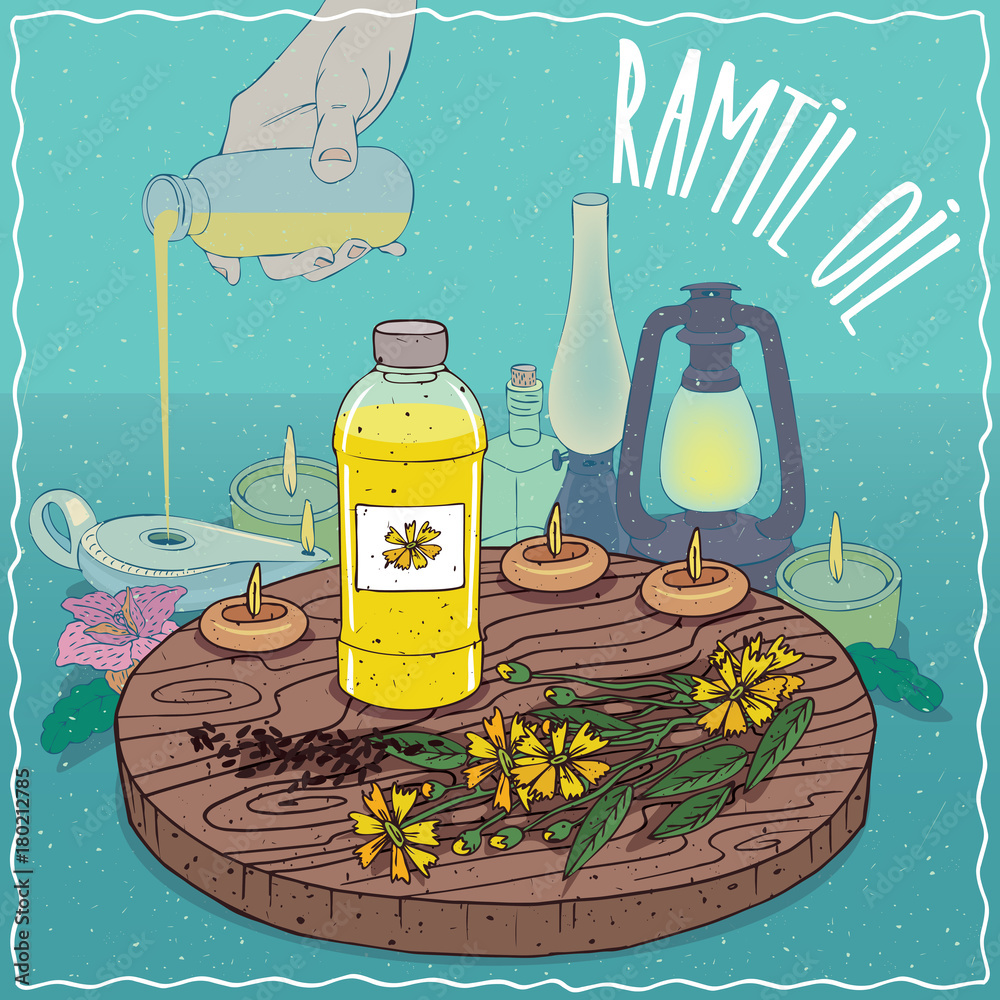 Plastic Bottle of Ramtil oil and Guizotia abyssinica plant. Hand