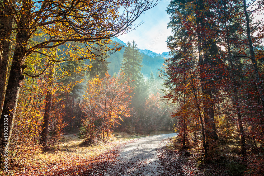 trekking path in an autumn day in the alps trekking path in an autumn day in the alps