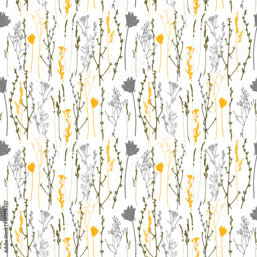 Meadow grasses, herbs and flowers outlines vector seamless pattern.