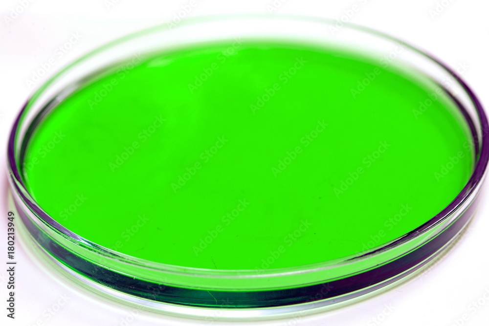 Petri dish with blood samples