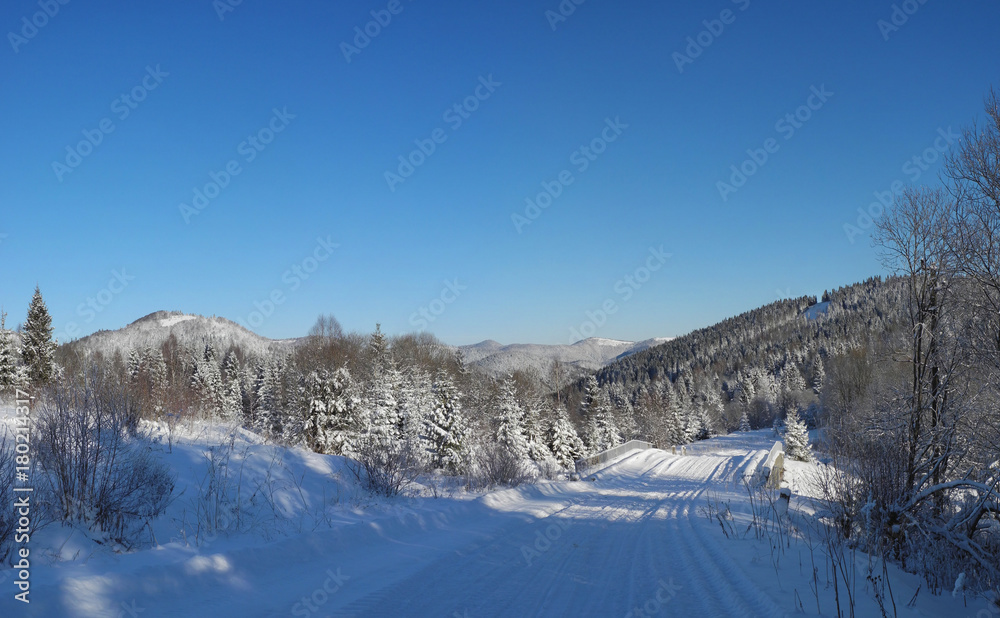 Winter landscape. Country road covered with fresh snow. Tysovets sports base, Ukraine.