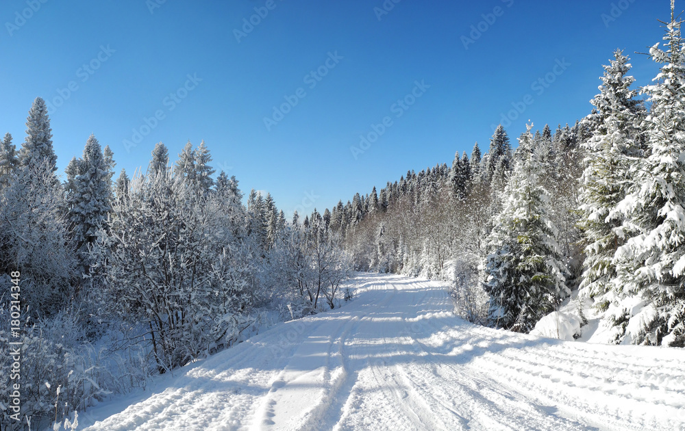 Beautiful view of the winter forest and country road under the snow. Carpatians, Ukraine.