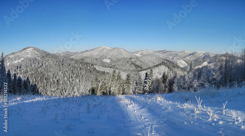 Beautiful panoramic view of the Carpatian Mountains under the snow.