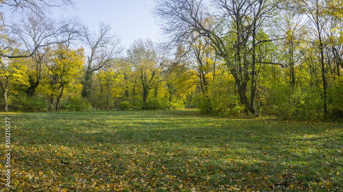 Field in Austrian Park in Laxenburg