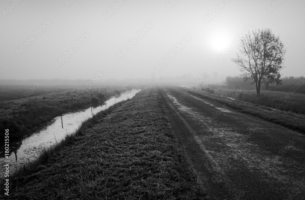 Brumes et brouillard sur route des Marais de Moeze Oléron Brumes et brouillard sur route des Marais de Moeze Oléron