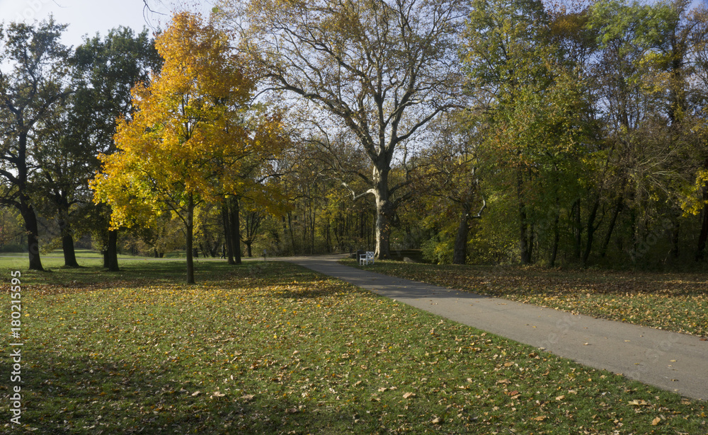 road in a park in autumn