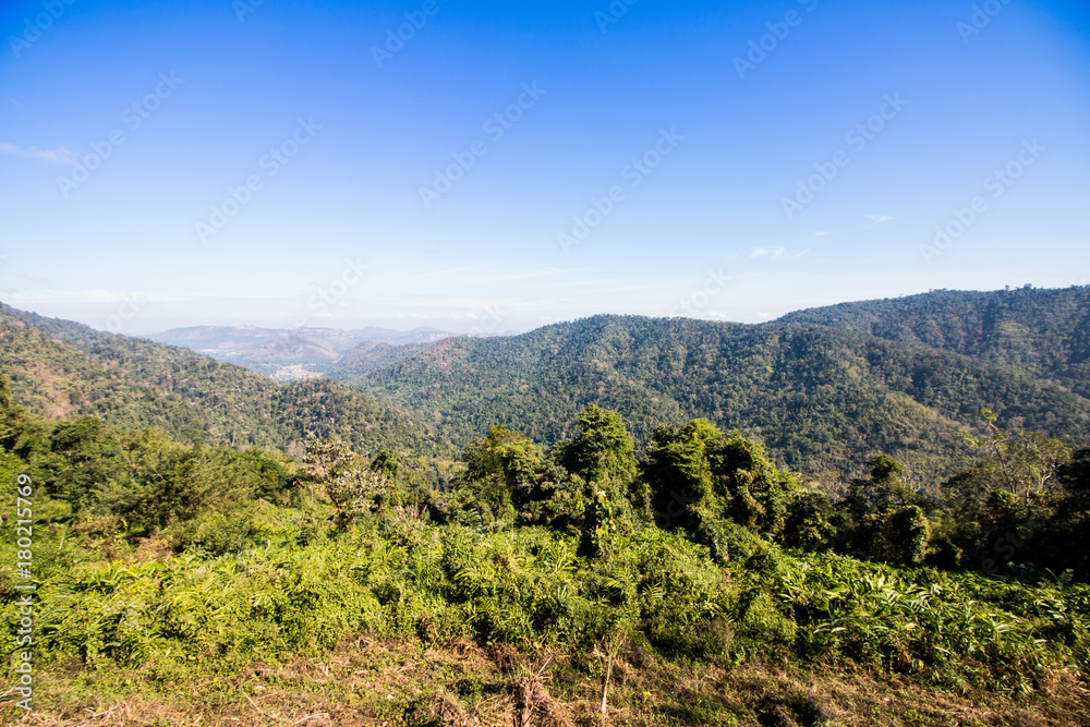 mountain and forest view in khoayai thailand