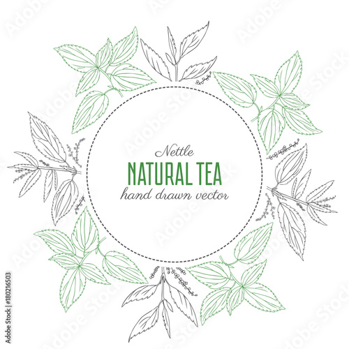 Round floral frame, Nettle wild field flower isolated on white background, hand drawn sketch vector illustration Urtica dioica for design package tea, cosmetic, natural medicine, decorative label