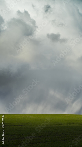 Minimalistic landscape, green field, scenic clouds © Gatis