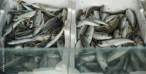 Fresh anchovies at market in Italy