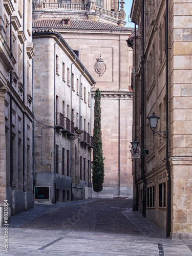 Fototapeta Naklejka Na Ścianę i Meble -  Calle de Salamanca