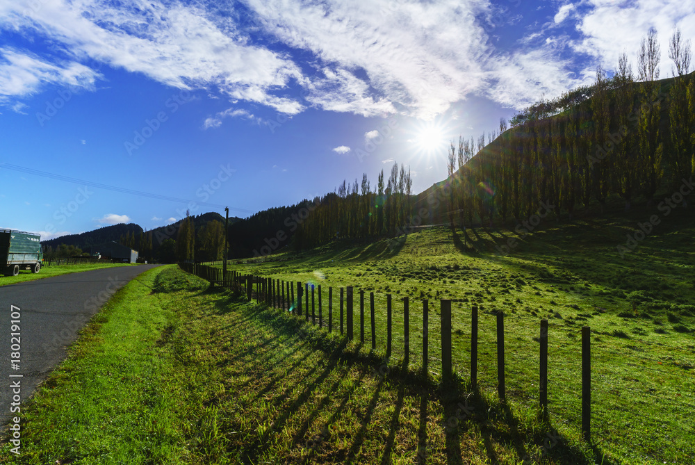 Fototapeta premium Beautiful day in countryside , North Island of New Zealand
