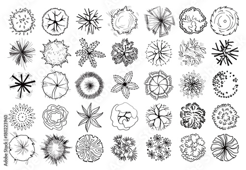 Various trees, bushes and shrubs, top view for landscape design plan. Set of vector illustrations, isolated black on white background.