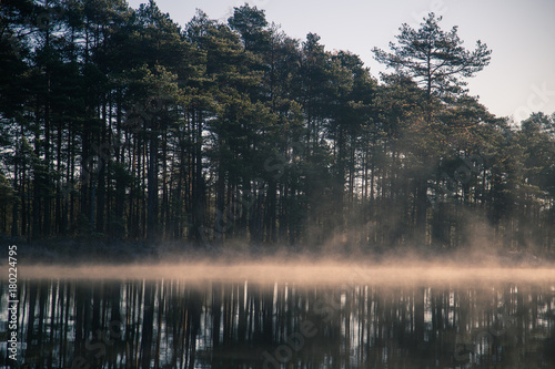 A beautiful swamp pond with a raising mist during the sunrise. Quagmire in a frowen wetlands in autumn. Bright light with sun flares. Beautiful scenery in Latvia.
