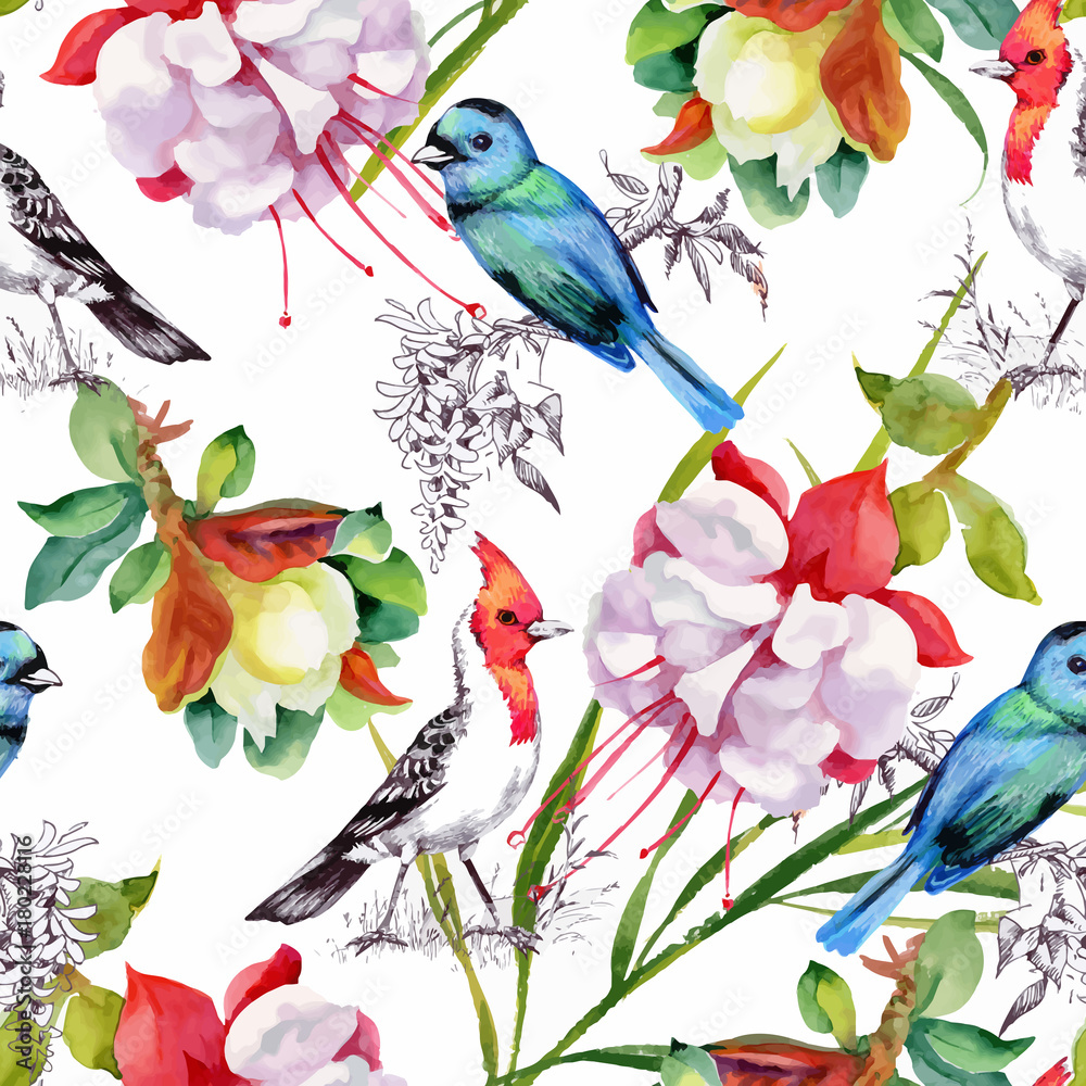 Watercolor hand drawn seamless pattern with beautiful flowers and colorful birds on white background.