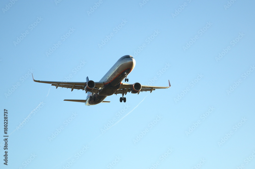 A passenger plane lands at the airport A passenger plane lands at the airport