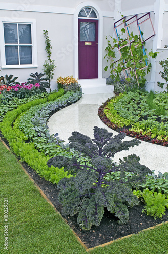 A vegetable garden in front of an urban house