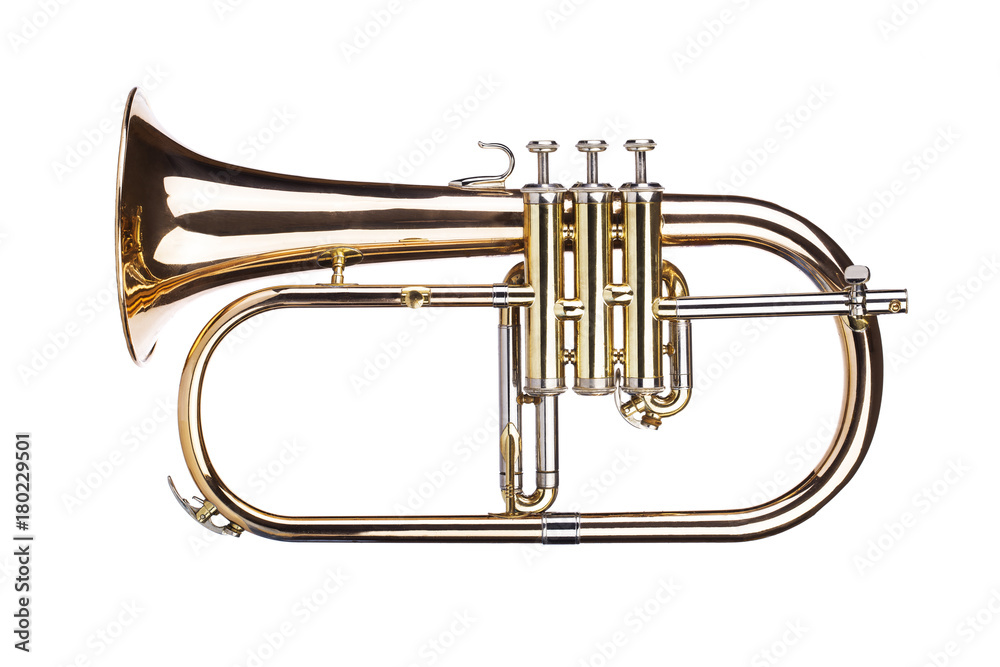 Obraz premium Trumpet on white background