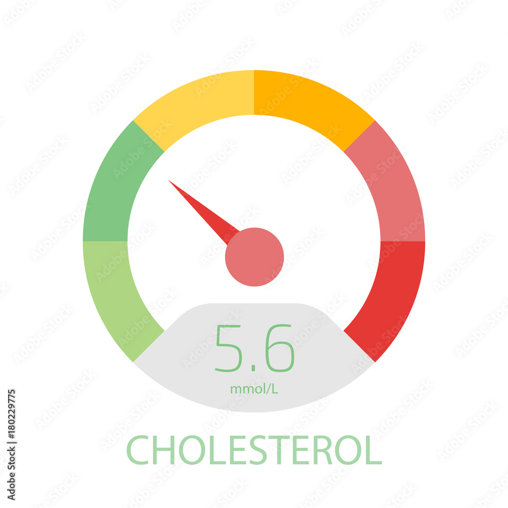 Cholesterol Meter app user interface. Vector illustration.