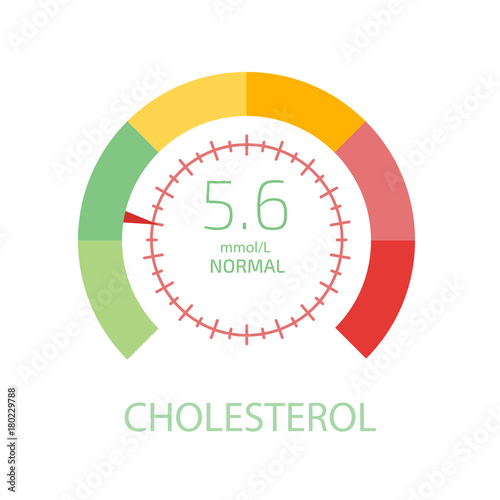 Cholesterol Meter app user interface. Vector illustration.