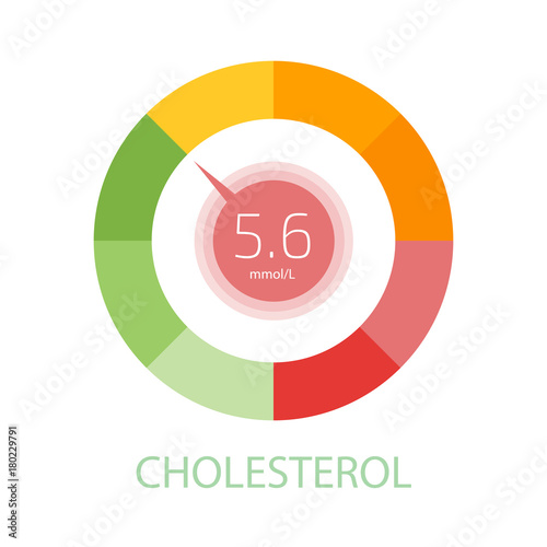 Cholesterol Meter app user interface. Vector illustration.