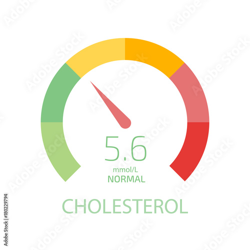 Cholesterol Meter app user interface. Vector illustration.
