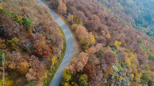 Overhead aerial top view over curve road bend in colorful countryside autumn forest.Fall orange,green,yellow,red tree woods and sun.Mountain turn street path background.Straight-down above perspective