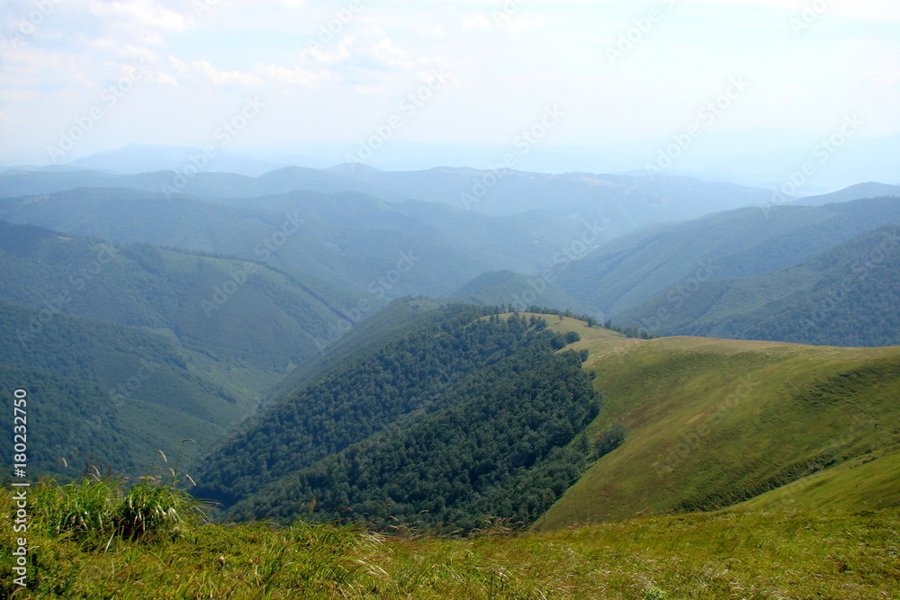 forests of the Carpathian Mountains.