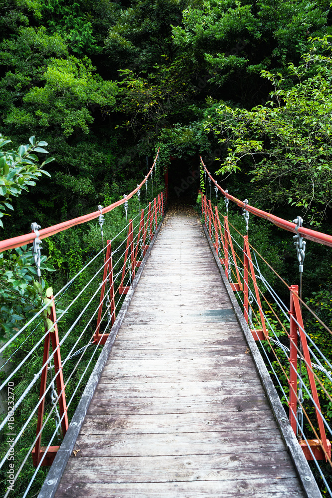 Obraz premium 御殿山さくらつり橋