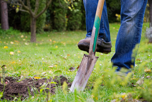 Gardener digging in a garden with a spade. Man using a big shovel for digging old lawn.  photo