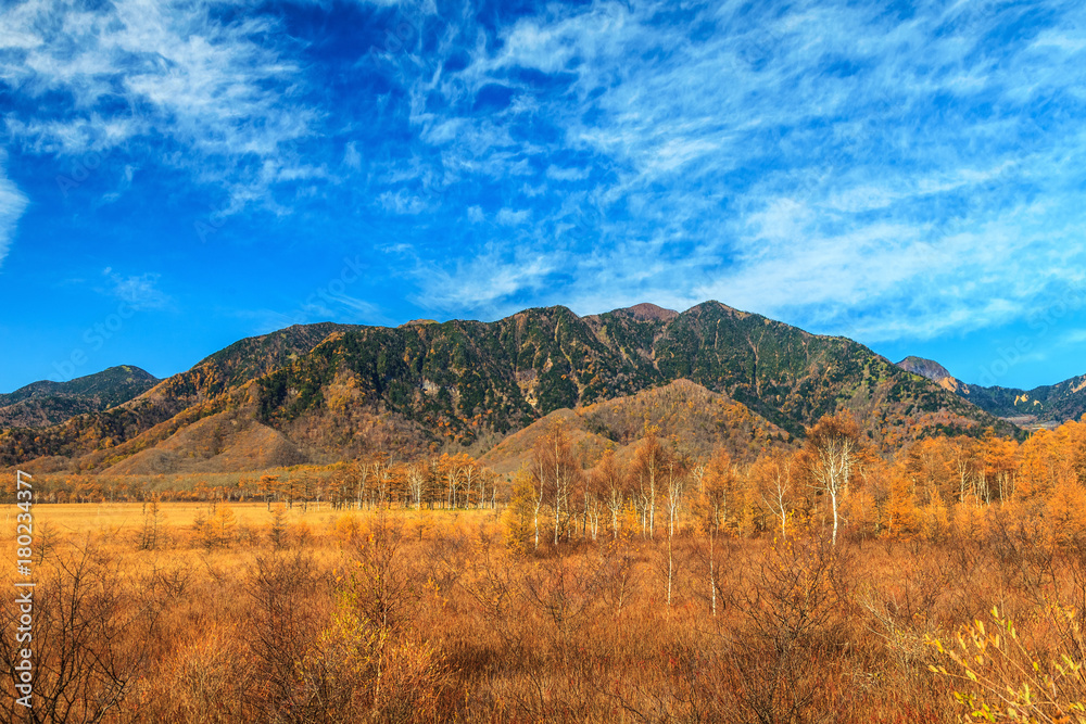 Mountain scenery with pine tree forest in autumn season, Nikko, Japan Mountain scenery with pine tree forest in autumn season, Nikko, Japan