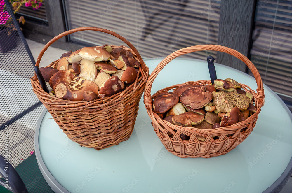 Two baskets full of forest mushrooms. Two baskets full of forest mushrooms.