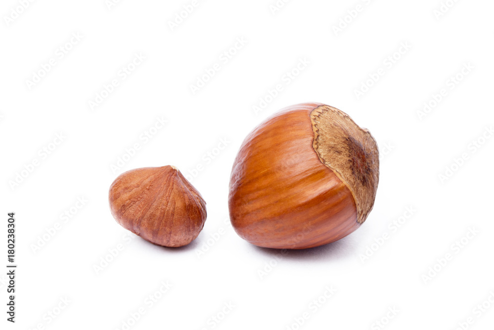 Group healty hazelnuts isolated on white background Group healty hazelnuts isolated on white background
