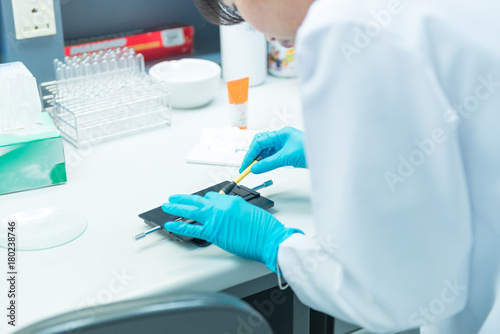 Scientist working in the lap prepare equipment for experiment